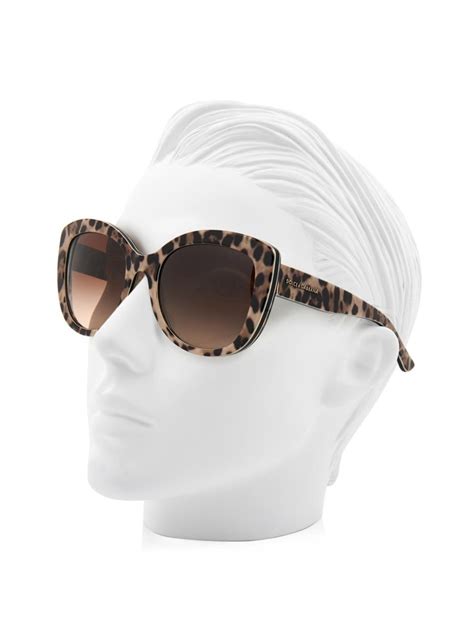 dolce gabbana leopard sunglasses|dolce gabbana unisex sunglasses.